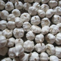 2016 New Crop Fresh Garlic with Carton Packing